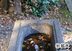 浅間神社の手水鉢